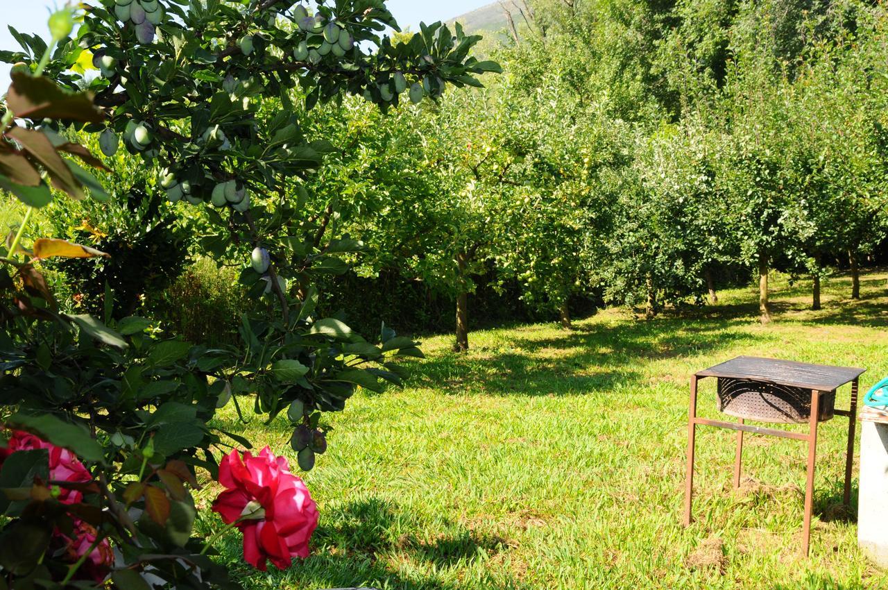 Guest House Markovic Budva Zewnętrze zdjęcie